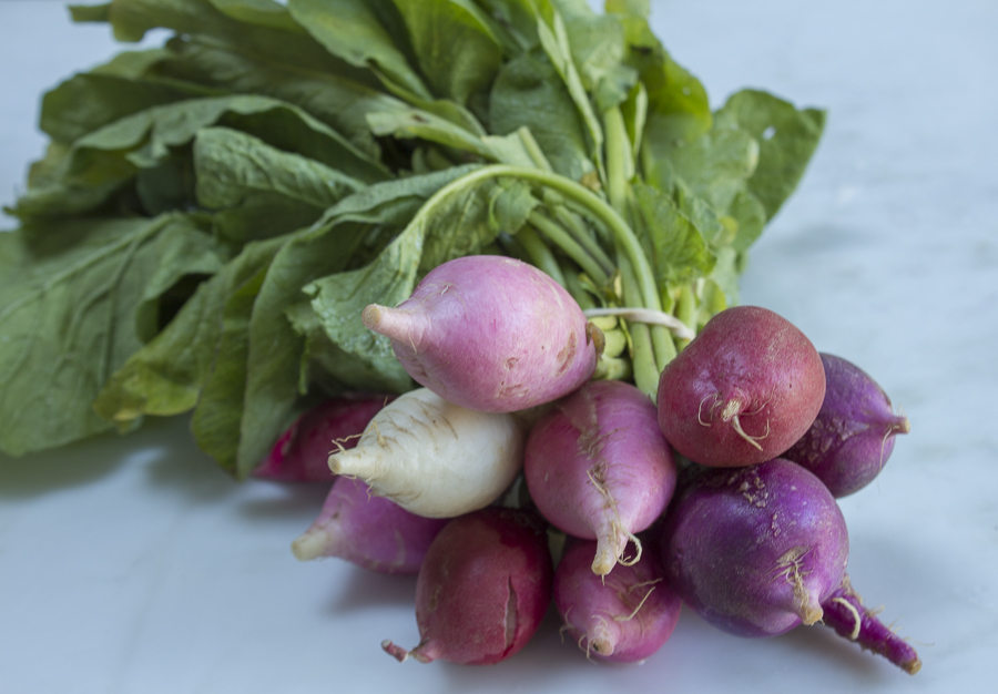 Summer "breakfast radishes"