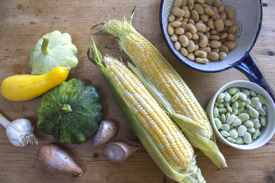 Ingredients for Succotash: Corn, Lima Beans, Zucchini, Shallots, Garlic and Broad Beans (optional) 