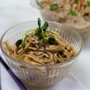 Sunflower Satay Sauce ~ for Noodles and Grilled Chicken Skewers (Peanut-Free)