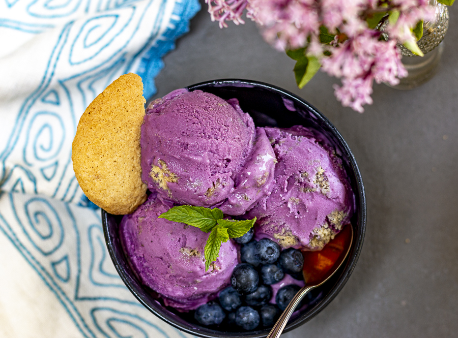 Best Blueberry Frozen Yogurt with a Sugar Cookie Crumble