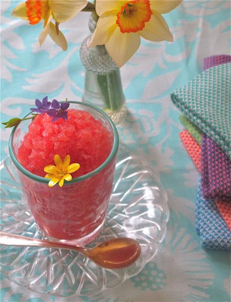 Rhubarb Granita with Infused Spices and Flavors – Cloves, Cardamom and Orange