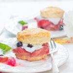 Rhubarb Shortcakes with Coconut Whipped Cream and a touch of Blueberries