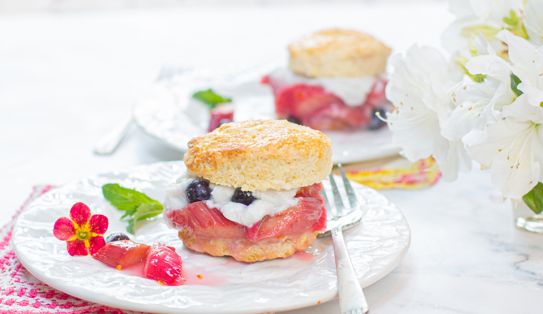 Rhubarb Shortcakes with Coconut Whipped Cream and a touch of Blueberries