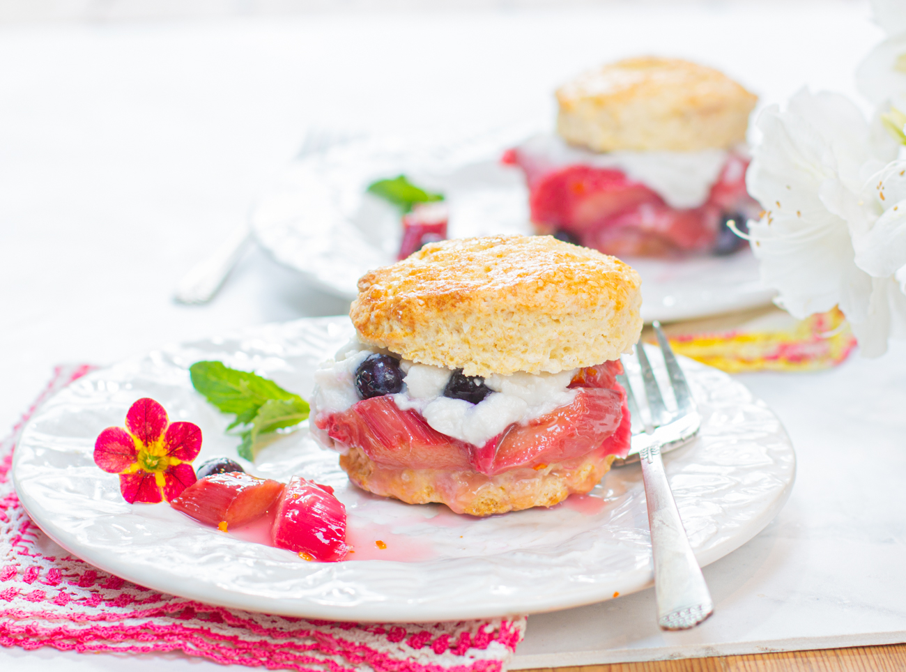 Shortcakes with Rhubarb, Blueberries and Coconut Whipped Cream
