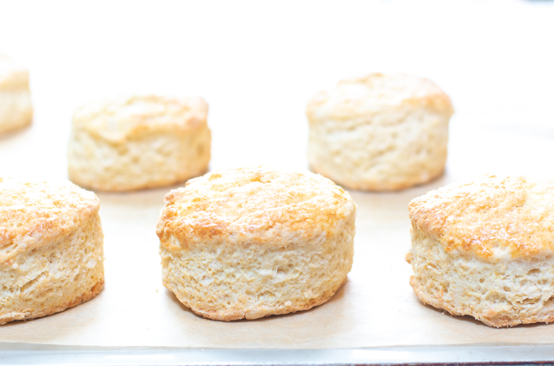 The crispy yet tender Golden Shortcakes out of the oven 