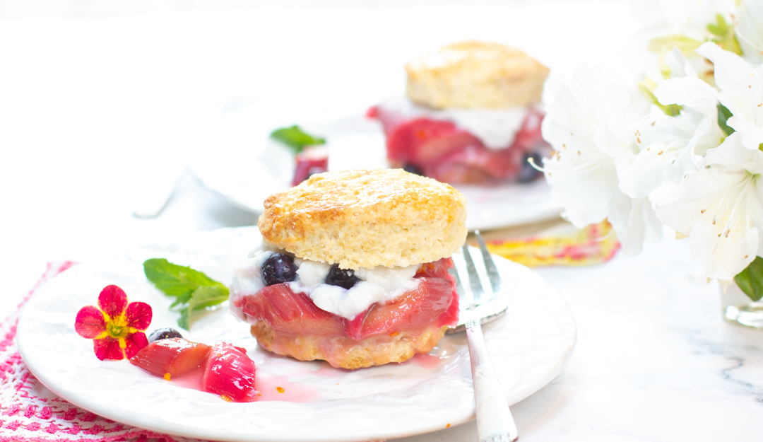 Rhubarb Shortcakes with Coconut Whipped Cream and Blueberries 