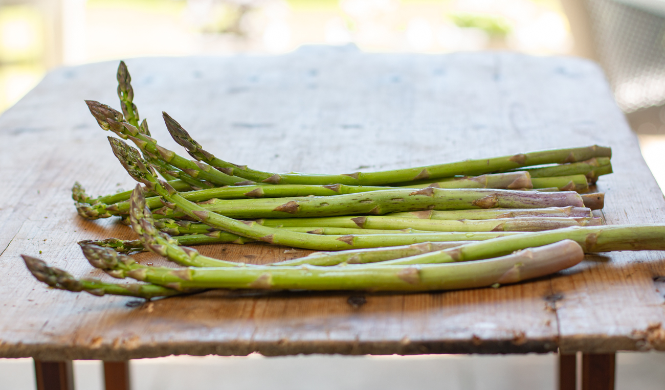 Freshly picked asparagus from Scott's Yankee Farmer, East Lyme, CT 