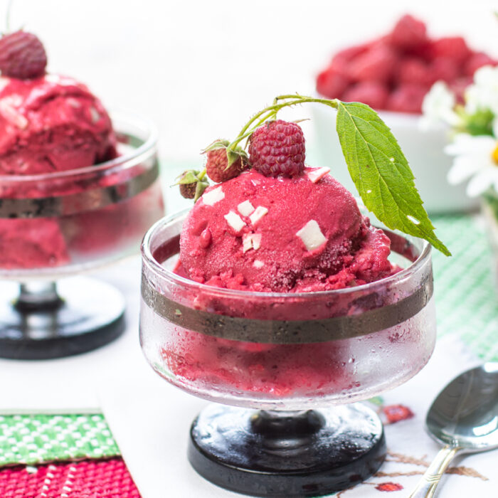Sherbert Raspberry Pint Karen's Raspberry Sherbet with Shaved White Chocolate - A Zest for Life
