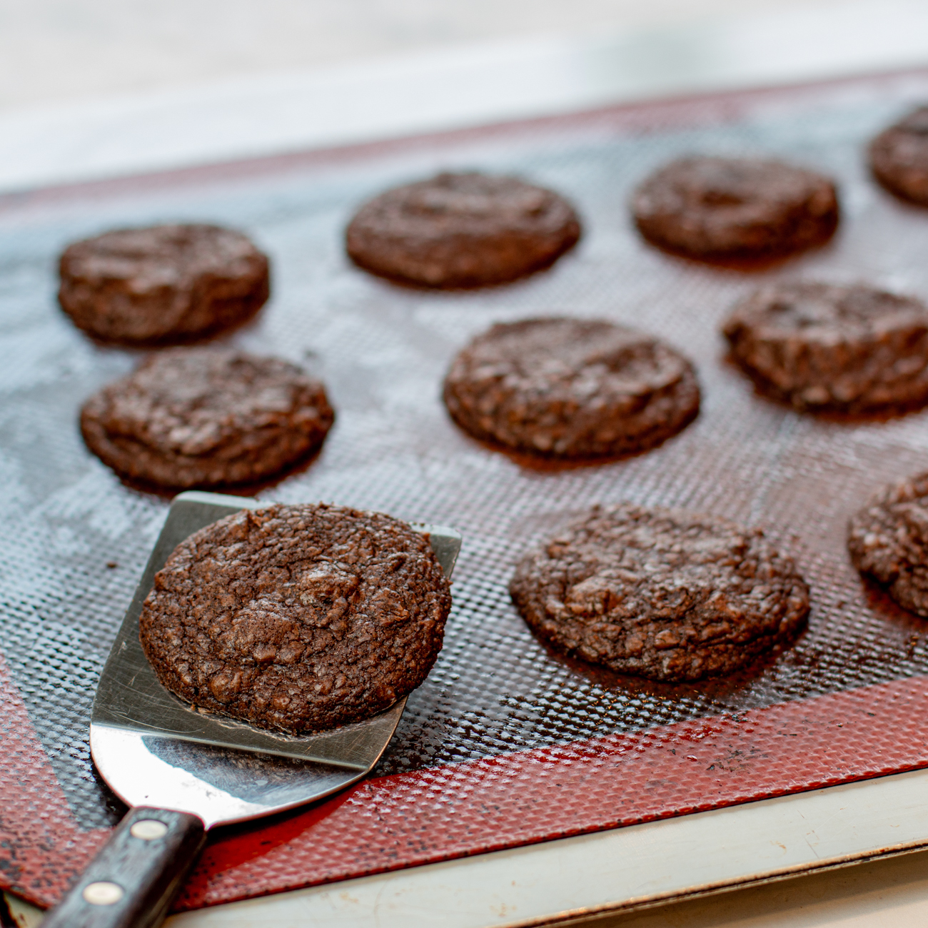 Mini Double Chocolate Fudge Cookie Thins (to eat and for ice cream sandwiches)