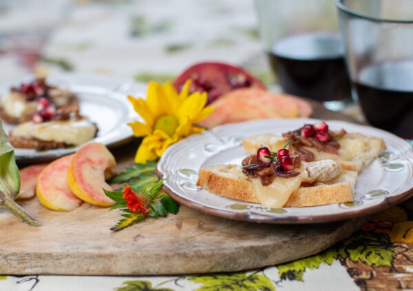 NEW RECIPE: Party Caramelized Red Onions & Apple Baked Brie