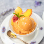 Karen's Summer Peach Sorbet