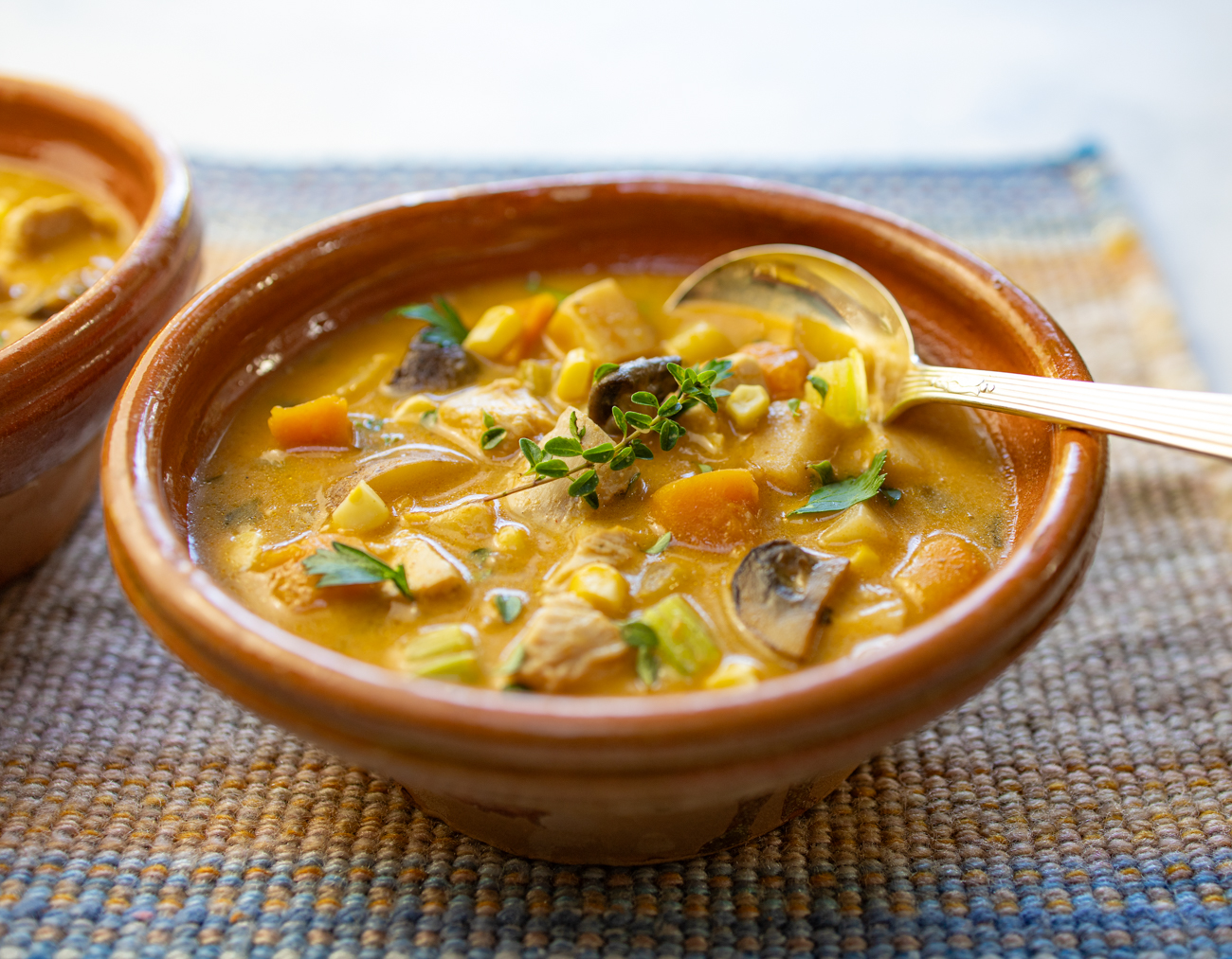 Chunky Chicken & Fall Soup with Too Many Vegetables - A Zest for Life