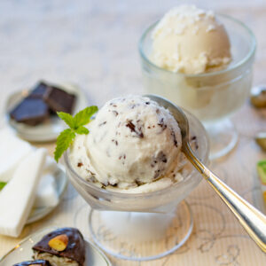 Chocolate Chip Coconut Sorbet... with Fresh Coconut - It's Vegan