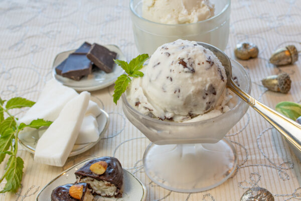 Coconut Chocolate Chip Sorbet with Fresh Coconut... it's Vegan!