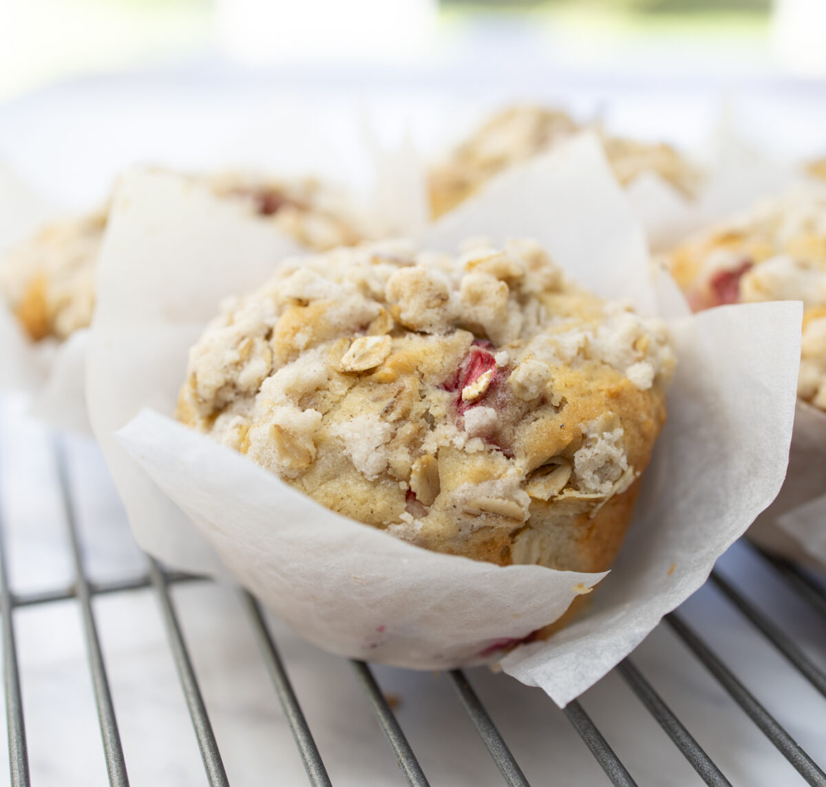 Remarkable Rhubarb Oatmeal Muffins