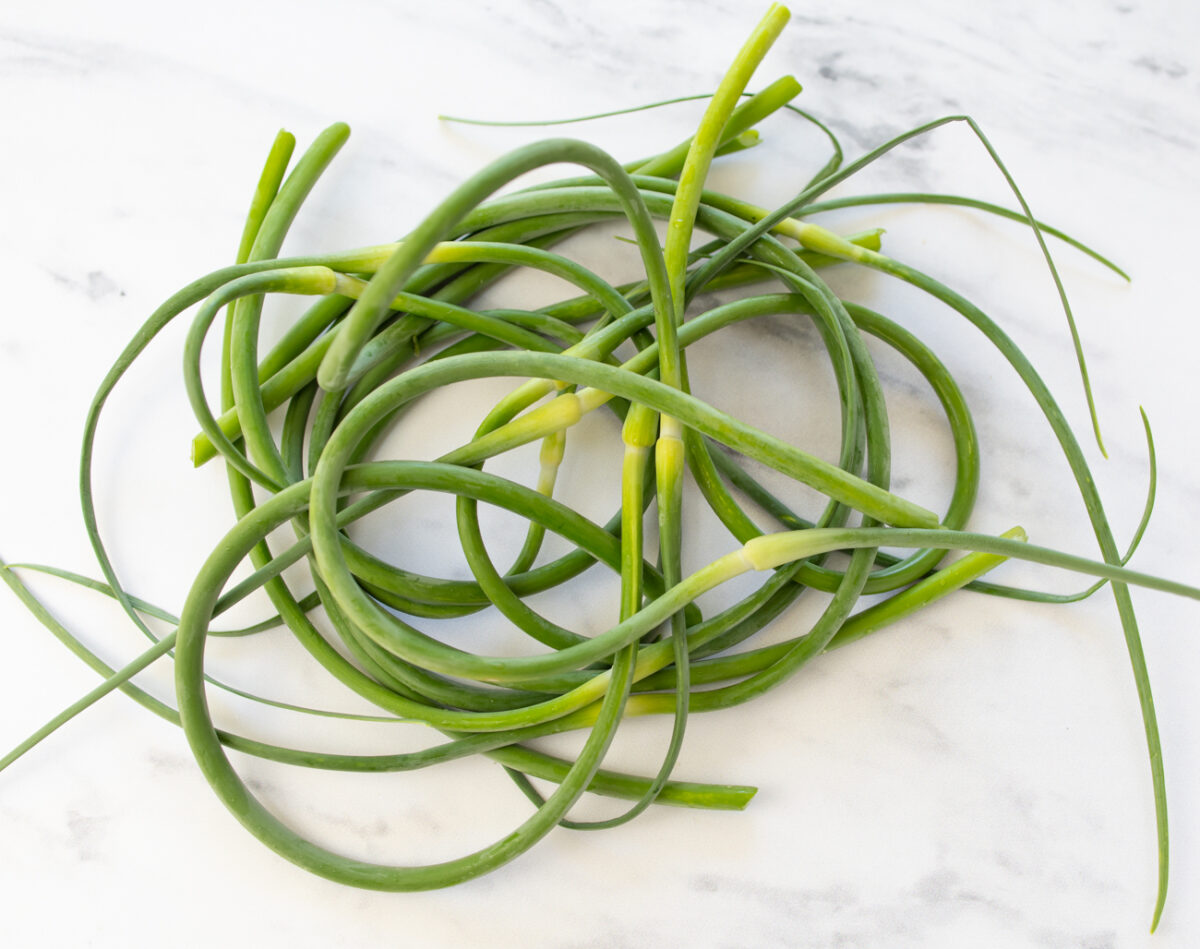 Just picked Garlic scapes from my growing Hardneck Garlic, June 8, 2026