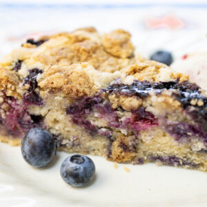 Best Blueberry Buckle with Warm Spices and Coconut Streusel - It's Gluten Free!