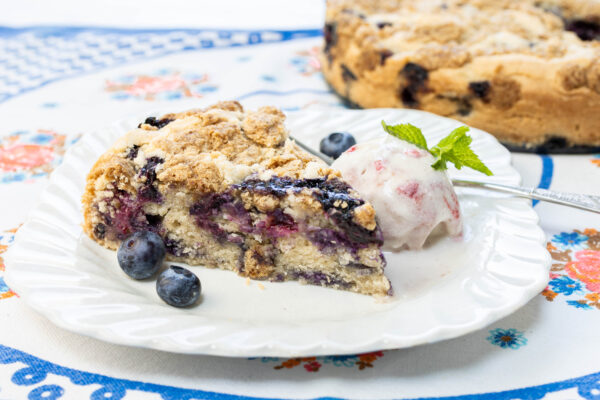 Best Blueberry Buckle with Warm Spices and Coconut Streusel - It's Gluten Free!